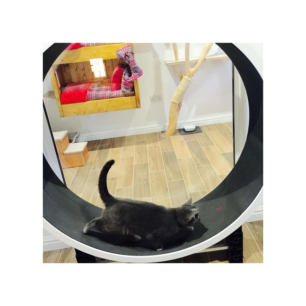 ziggydoo ferris cat wheel