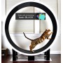 Ferris Cat Exercise Wheel