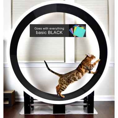 Ferris Cat Exercise Wheel