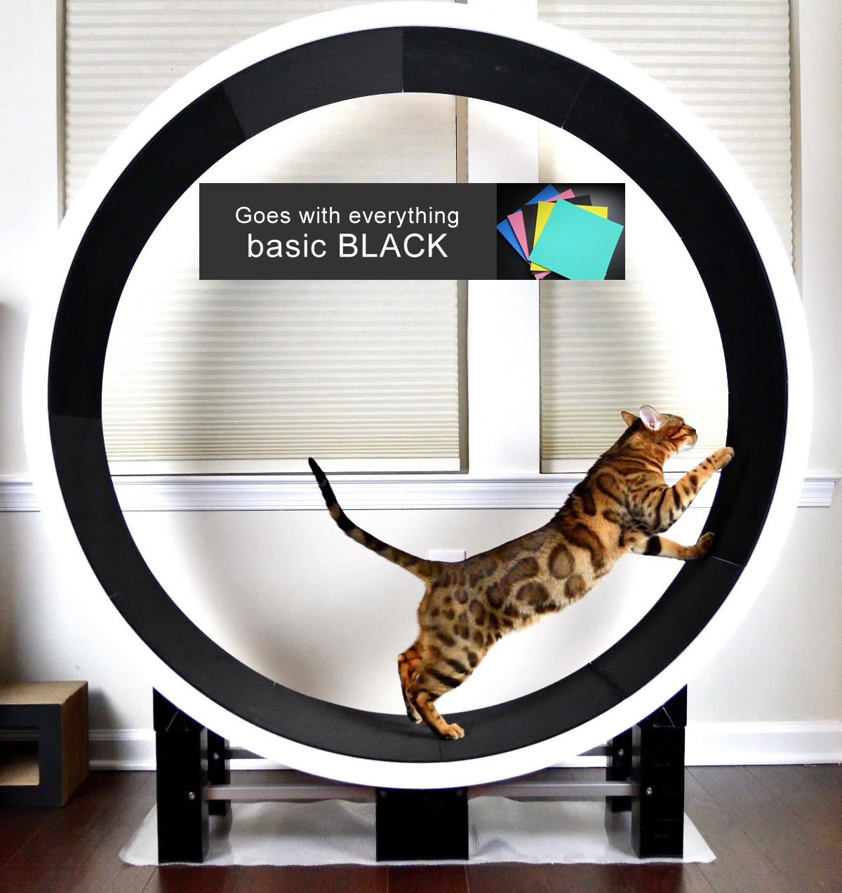 used cat exercise wheel for sale